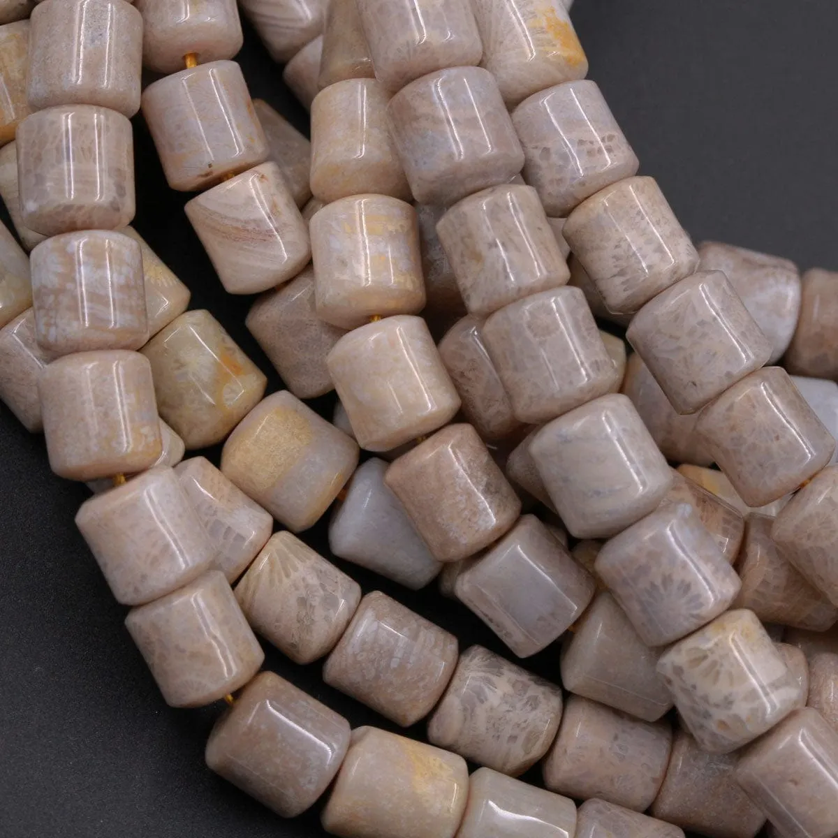 A Grade Natural Fossil Coral Short Cylinder Beads 8mm Puffy Nugget Beads Neutral Gray Taupe Beige Beads 16" Strand