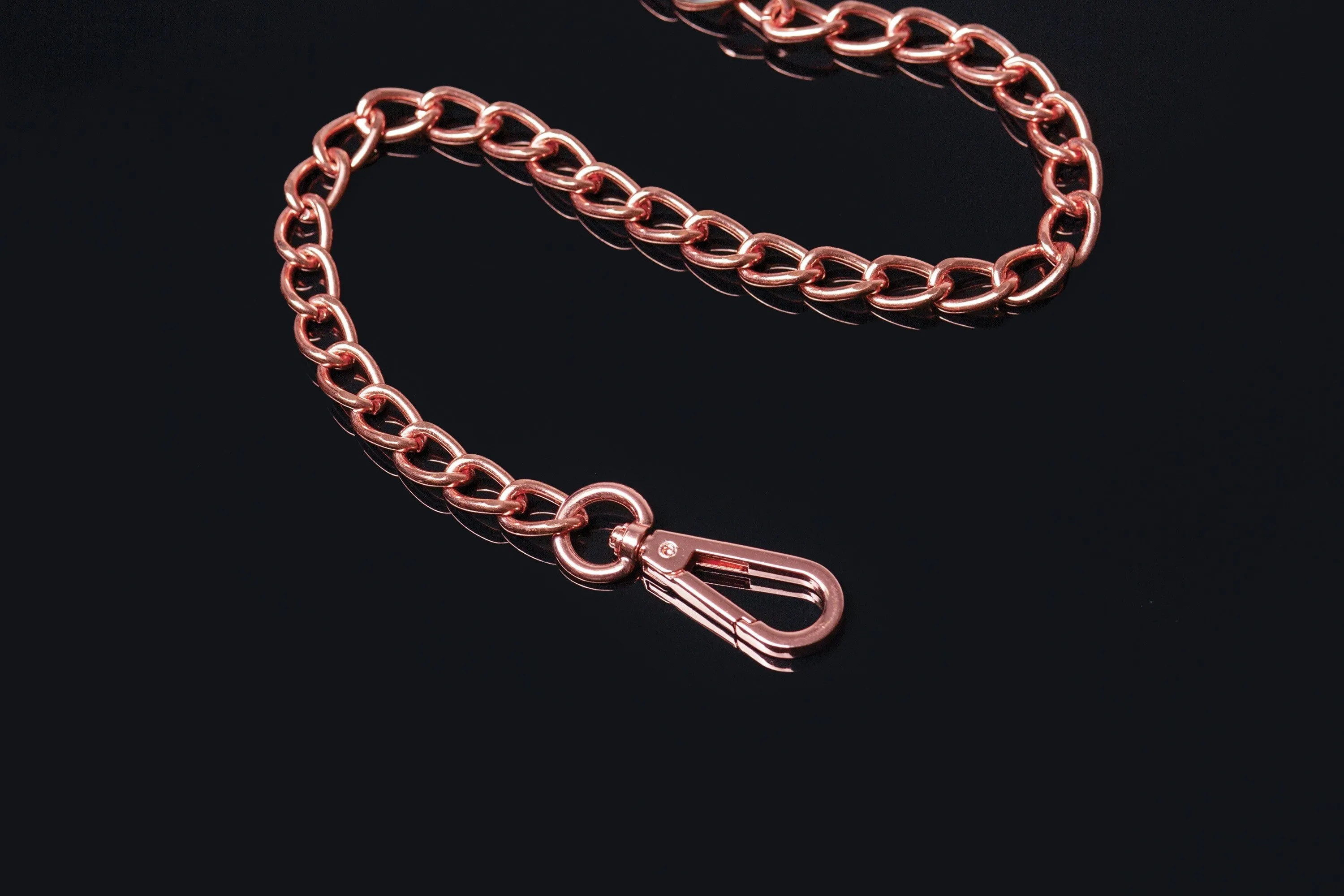 Chain Leash