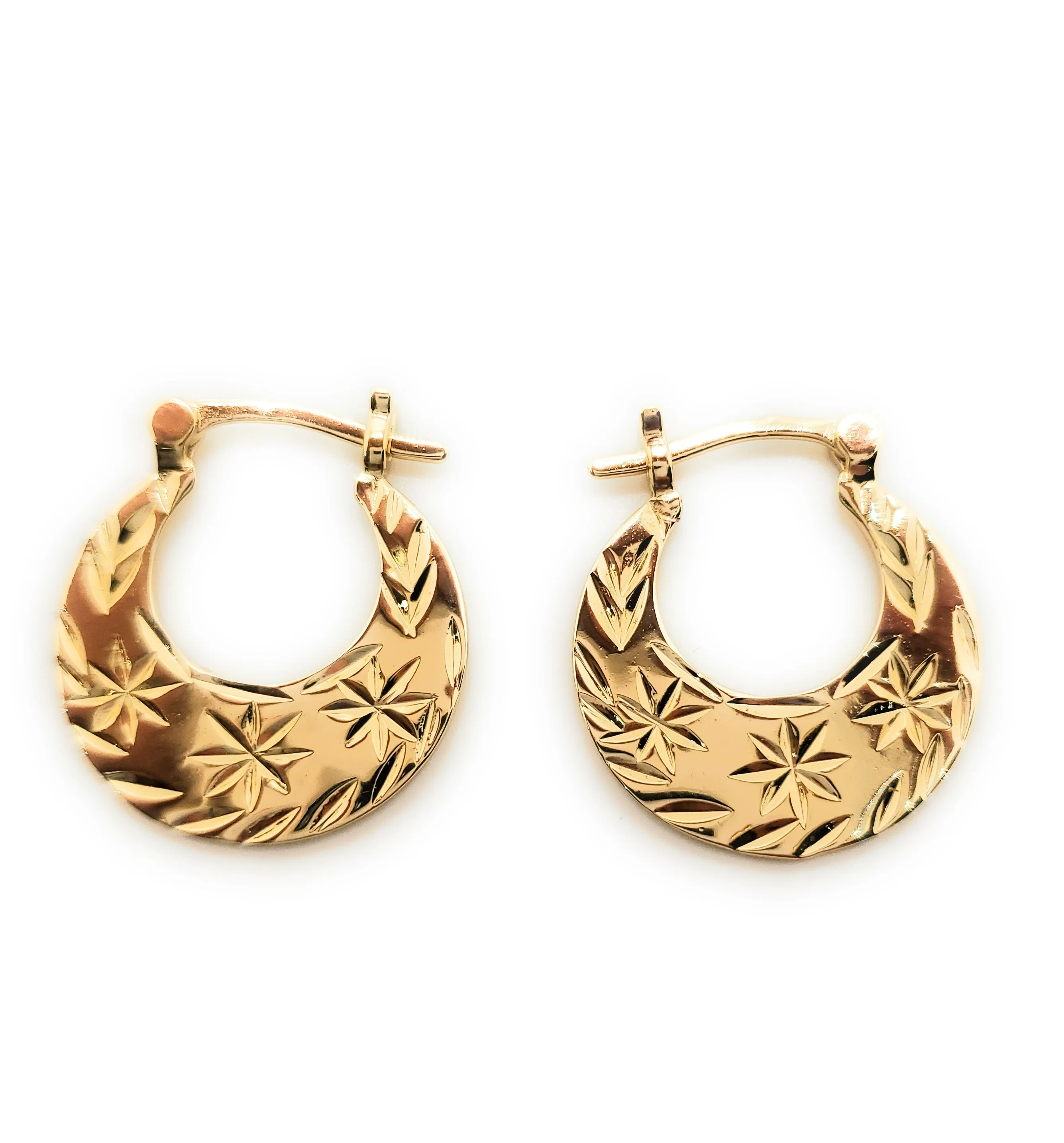 Classic and Modern PVD 18k Gold Filled Nattiyan Earrings