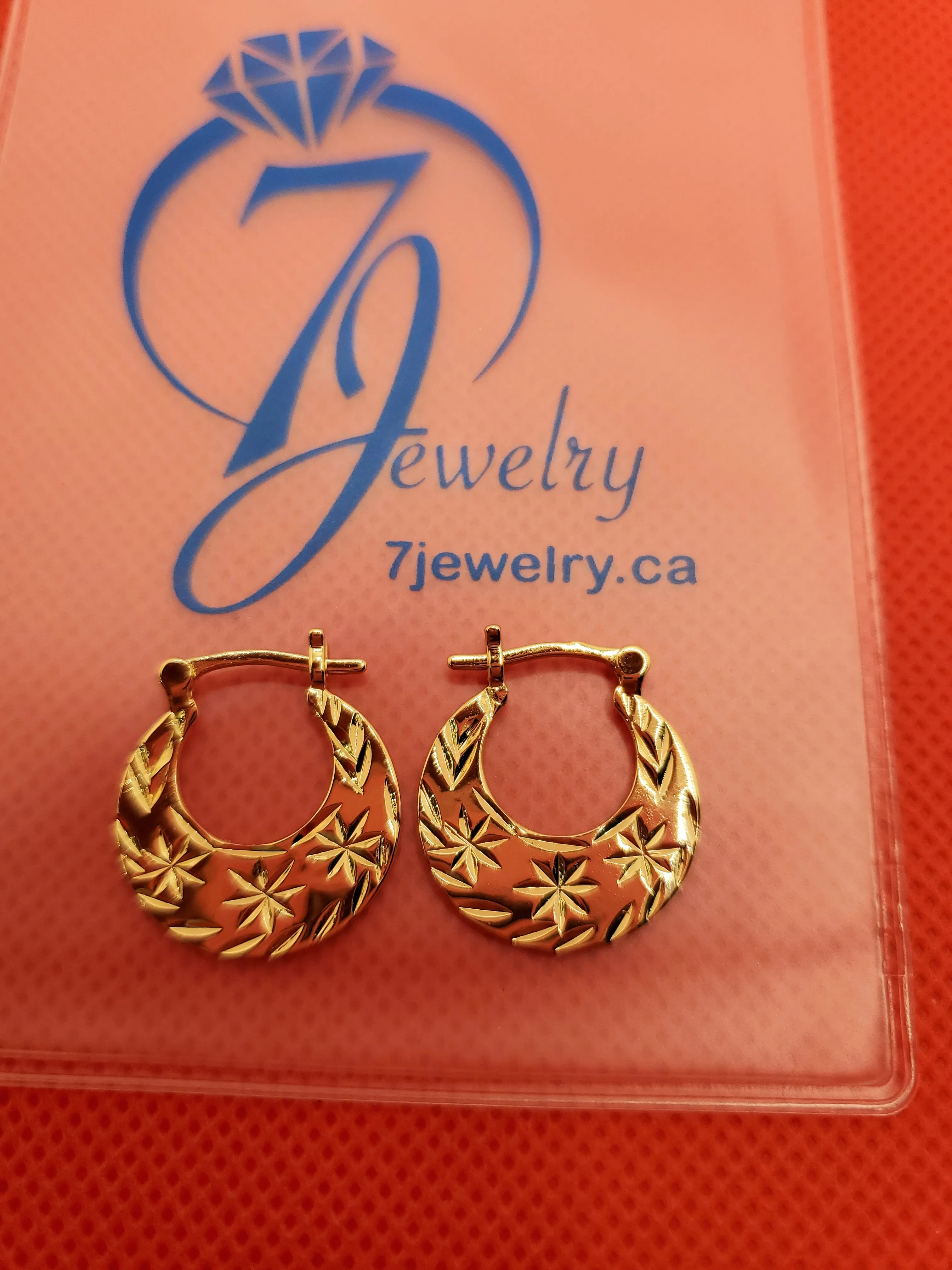 Classic and Modern PVD 18k Gold Filled Nattiyan Earrings