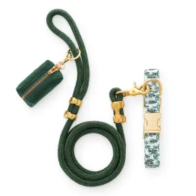 Gray Malin x TFD Snowy Pines Collar Walk Set