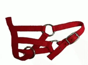 Halters