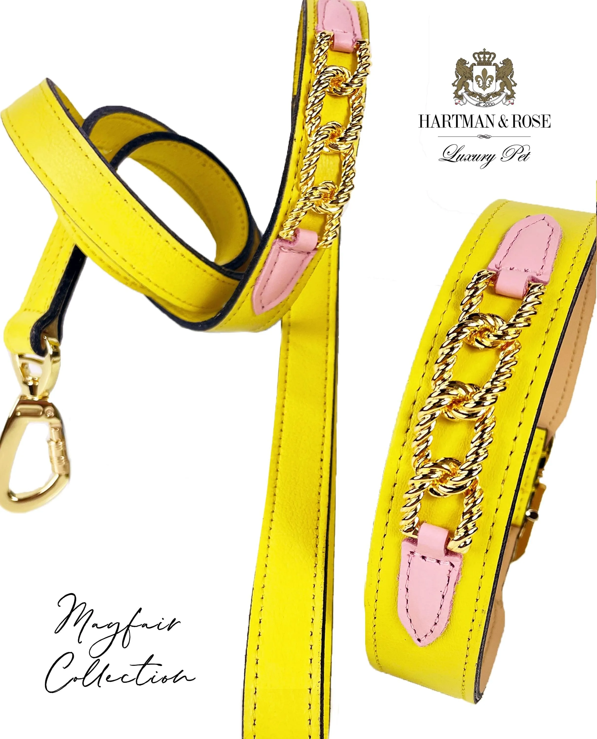 Mayfair Dog Collar in Canary Yellow, Sweet Pink & Gold