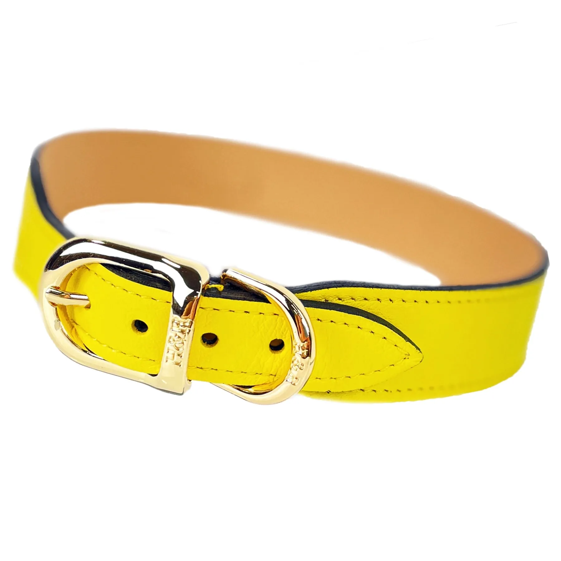 Mayfair Dog Collar in Canary Yellow, Sweet Pink & Gold