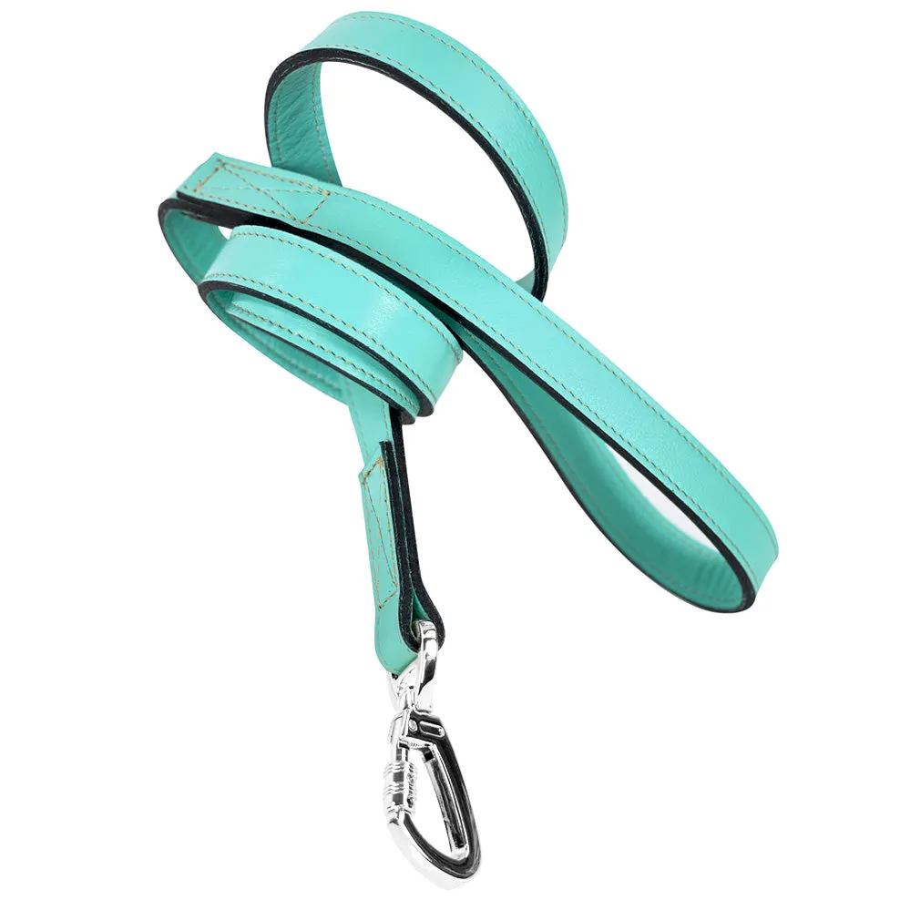 Mayfair Dog Leash in Turquoise & Nickel