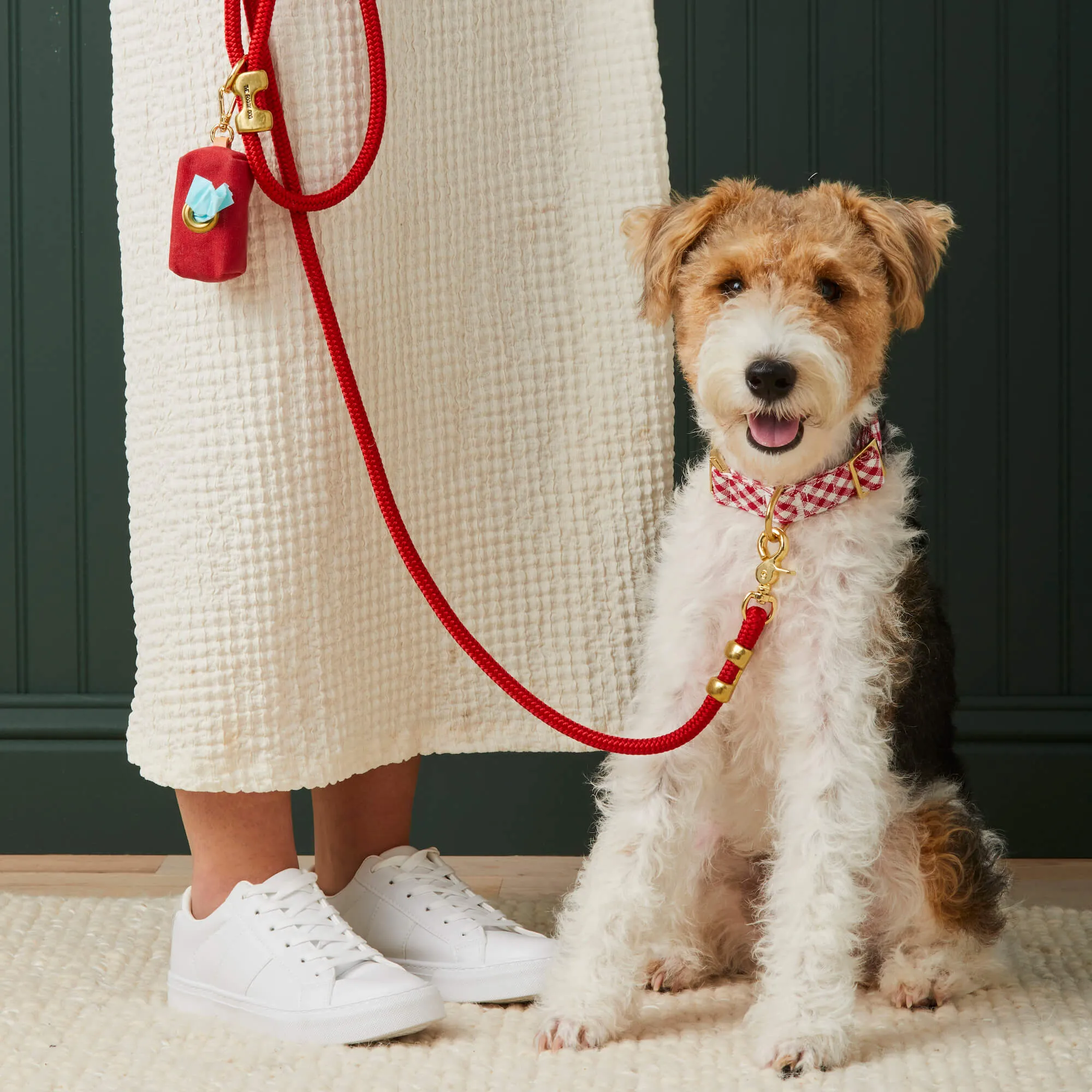 Red Gingham Collar Walk Set