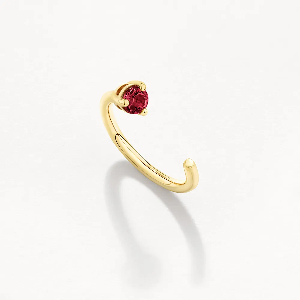 Ruby July Birthstone Hook Earrings in 10k Gold