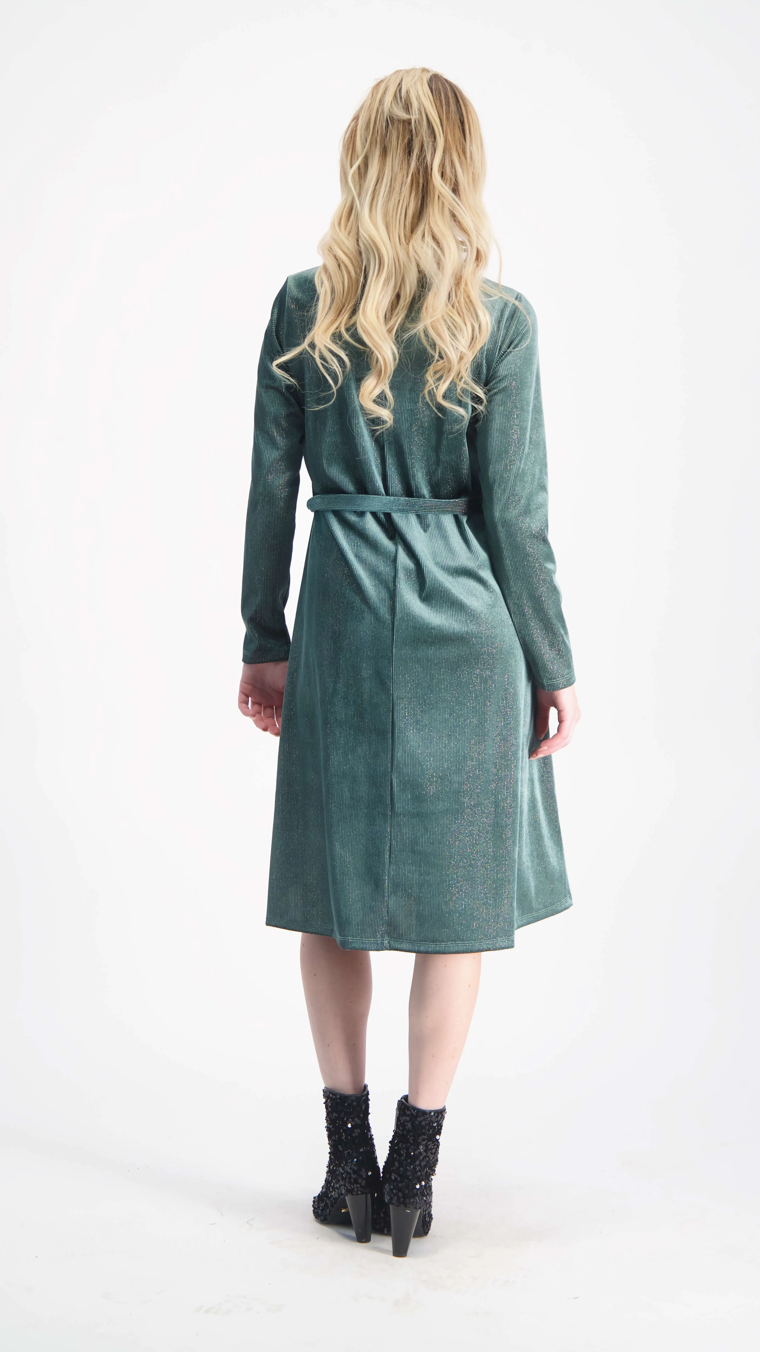 Velvet A-line Dress With Belt / Green & Silver Line